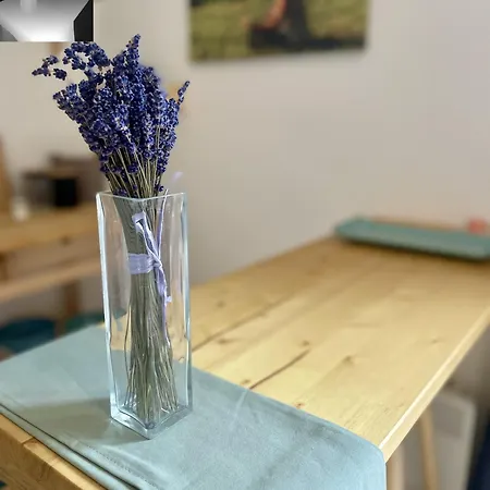 Casa de hóspedes Vyhledna