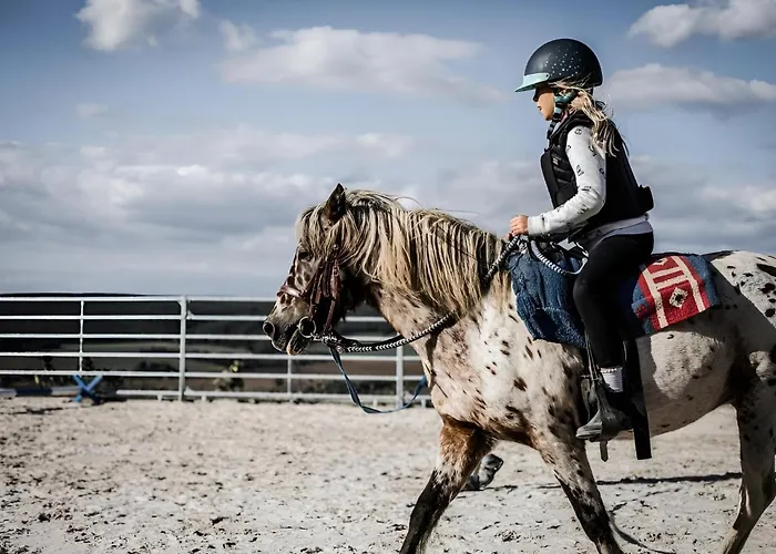 Vyhledna ベロウン