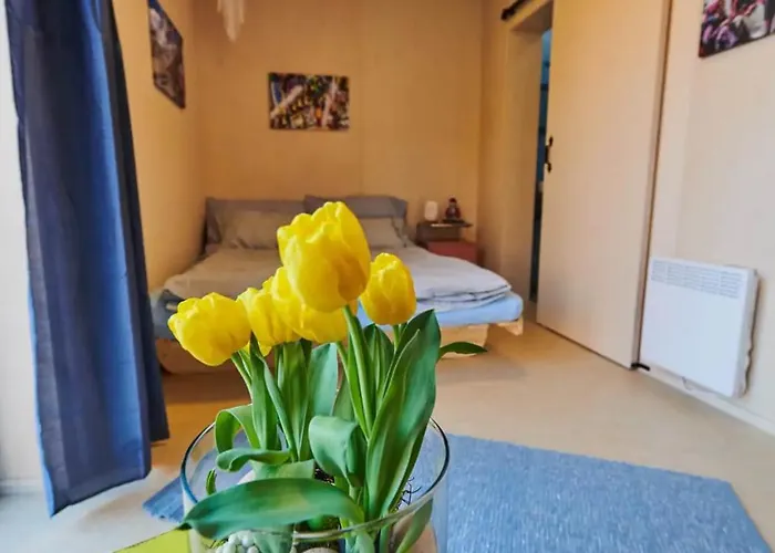 Vyhledna ゲストハウス ベロウン