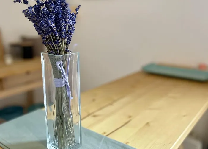 ゲストハウス Vyhledna